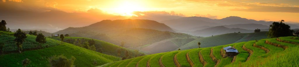 green agriculture landscape of mountains during sunset