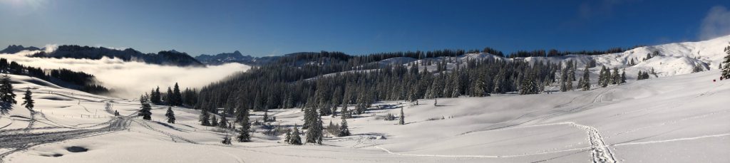 winter ski landscape on a mountain with snow on the ground amongst trees